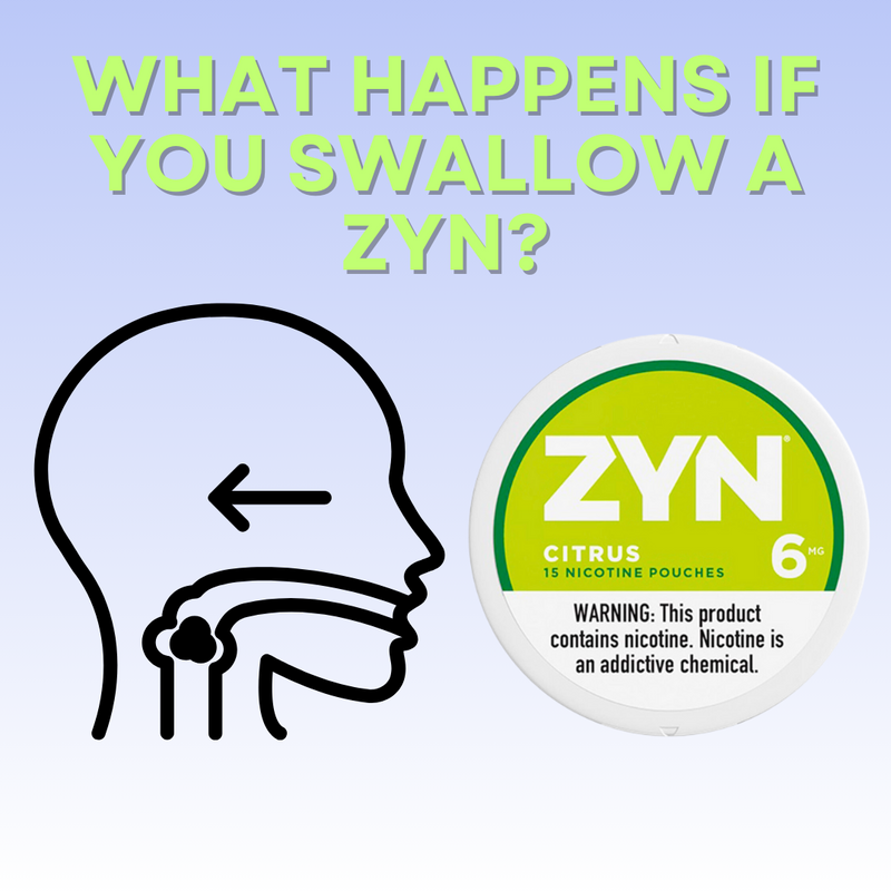 What happens if you swallow a zyn? | Eliquidstop What happens if you swallow a zyn? | Eliquidstop